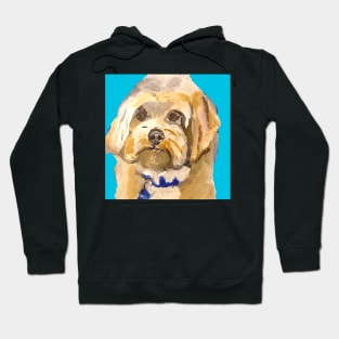 Maltipoo Hoodie